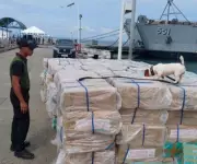 P4 Billion in Illegal Cigarettes Seized Since December 2025