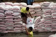 Philippines' Rice Inventory Surges in March 2026, PSA Reports