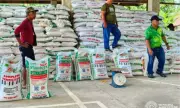 Philippines to Break Ground for First Fertilizer Plant in 2026