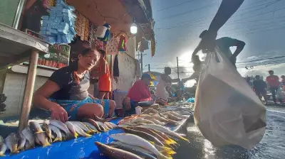 Carbon Market Vendors Face Millions in Daily Fees; Probe Called