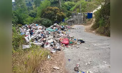 Cebu Province Begins Full Rehabilitation of 13 Earthquake-Damaged Bridges