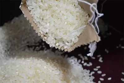 DA Sets P53 SRP for Local Rice to Guide Consumers