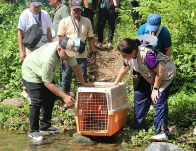 DENR Releases Eight Rehabilitated Wildlife in Zamboanga Sibugay