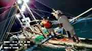 8 Motor Bancas Apprehended in Anti-Illegal Fishing Ops in Iloilo