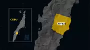 Argao Beachgoers Warned of Small Jellyfish Near Lawis Beach and Pier