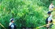Army Soldier, Cafgu Killed in Ambush in Negros Occidental