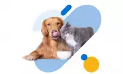BDO Insure Pet Insurance and BDO-Mastercard Remittance Partnership Highlighted