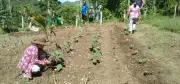 Catmon Farmers Association Boosts Livelihoods Through Unity and Modern Farming
