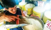 Cebu rice prices up 43.5% year-on-year, corn grits surge 76.3% in April 2026