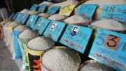 DA Sets P53/kg Suggested Retail Price for Local Rice