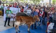 DA XI Releases P16M Livestock Aid to Davao del Norte Farmers After Calamities