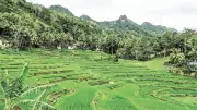 Discover the Serene Beauty of Dalaguete's Mountain Trails and Farms