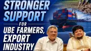 Duterte Lawmakers File Bill to Boost Philippine Ube Industry