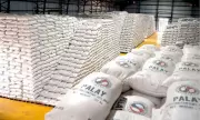 NFA Intensifies Palay Procurement After Decline in Private Trader Prices