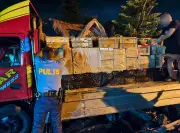 P715K Smuggled Cigarettes Seized in Negros Occidental Operation