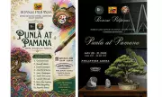 Punla at Pamana: Bonsai and Art Exhibition Opens at Philippine Arena