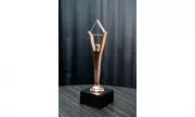 WSP Inc PR Firm Wins Bronze Stevie Award for Innovation in Media Relations