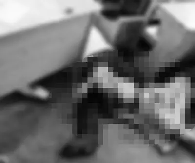 Bullying eyed as motive in San Jose National High School shooting