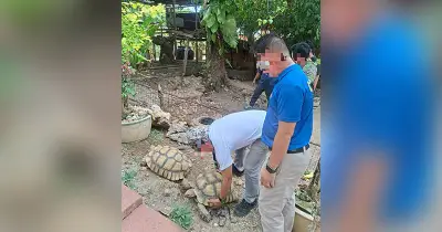Exotic Animals Seized from Medellin Resort in Oplan Kalikasan Raid