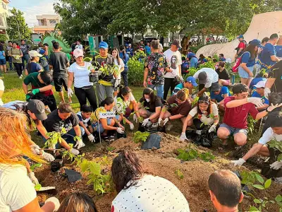 Iloilo City pots 5,000 seedlings in tree-growing drive