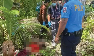 Son Beats Father to Death Over Coconut Sales Dispute in Badian