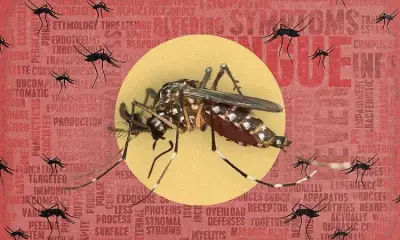 Zamboanga City records 556 dengue cases, 3 deaths since January