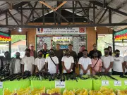 14 Extremists Surrender, 41 Firearms Turned Over in Maguindanao del Sur