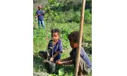 35th Mt. Pinatubo Eruption Marked with Tree Planting in Angeles City