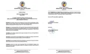 Angeles City Declares June 15 Special Non-Working Day for Mt. Pinatubo Eruption Anniversary