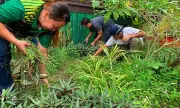 Brigada Eskwela 2026 Kicks Off with Strong Community Support in Davao