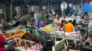 CICC Warns Public vs Fake Donation Drives After M7.8 Quake