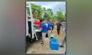 CIDG, DENR Rescue 15 Protected Animals from Cebu Resort