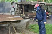 Davao City Dengue Cases Drop 61% in First Five Months of 2026