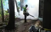 Davao del Sur Cuts Work Hours to Fight Dengue Surge