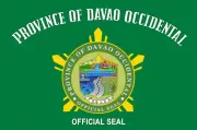 Davao Occidental lowest in road crash deaths; Davao Region fatalities rise