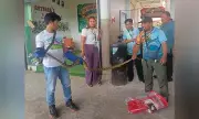 DENR Releases Reticulated Python Back into the Wild in Zamboanga Sibugay