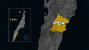 Ex-convict kills friend in Dalaguete over provocation