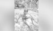 Farmer Wounded in Bolo Attack After Refusing Drink in Argao
