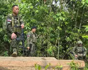 Illegally Cut Lawaan Logs Seized in Basilan Anti-Illegal Logging Ops