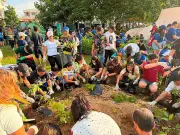 Iloilo City pots 5,000 seedlings in tree-growing drive
