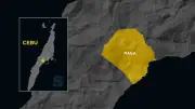Man dies after being hit by van while crossing highway in Naga City
