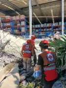 Mindanao Earthquake Fatalities Rise to 37, NDRRMC Reports