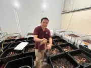 Mindanao's Eel Trade Booms: 22nd Shipment to China Highlights Growing Livelihood
