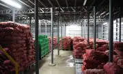 New Onion Cold Storage Facility Opens in Bacolor, Pampanga