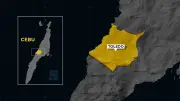 Three Arrested for Illegal Cutting of Coconut Trees in Toledo City
