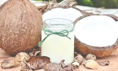 DTI-Davao Urges Coconut Farmers to Develop Value-Added Products for Higher Income