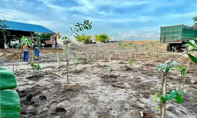 Magalang LGU Officials Join Greening Program at Material Recovery Facility