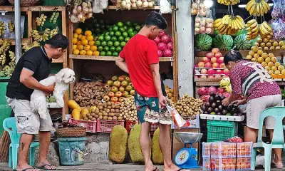 Philippine inflation slows to 6.4% in June 2026 as fuel, food price hikes ease