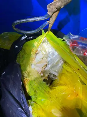 Truck with Hospital Waste Intercepted in Balamban, Driver Arrested