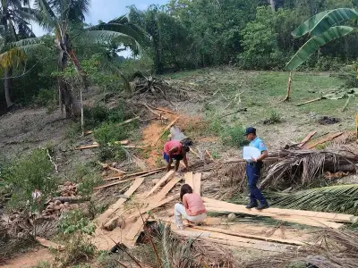 Two Arrested for Illegal Coconut Tree Cutting in Argao
